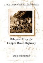 Milepost 71 on the Copper River Highway