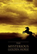Mysterious Golden Horse