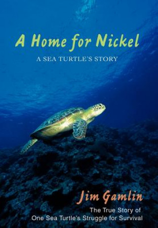 Home for Nickel