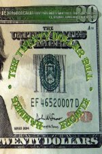 Twenty Dollar Bill