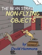 Bean Straw: Non-Flying Objects