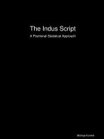 Indus Script: A Positional-Statistical Approach