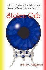 Nums of Shoreview: Stolen Orb