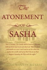 Atonement of Sasha