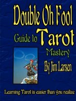 Double Oh Fool Guide to Tarot Mastery