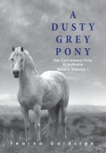 Dusty Grey Pony Book 1 Volume 1