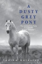 Dusty Grey Pony Book 1 Volume 1