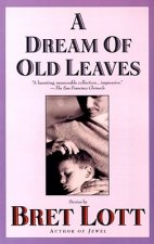 Dream of Old Leaves