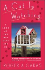 Cat is Watching