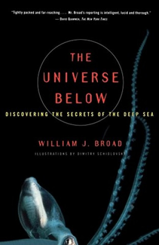 Universe Below