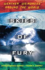 Skies of Fury