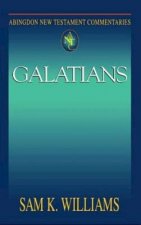 Abingdon New Testament Commentaries