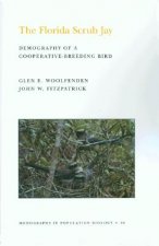 Florida Scrub Jay (MPB-20), Volume 20