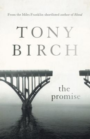 Promise