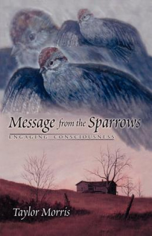 Message from the Sparrows