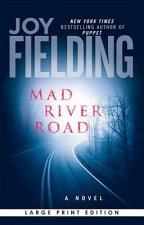Mad River Road - LP