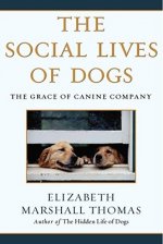 Social Lives of Dogs