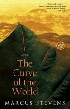 Curve of the World