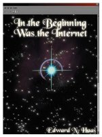 In the Beginning Was the Internet