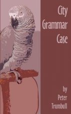 City Grammar Case