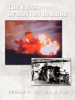 Guns of Boston Harbor