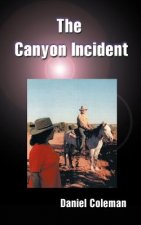 Canyon Incident