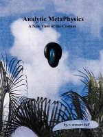 Analytic Metaphysics