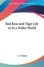 Red Rose and Tiger Lily or in a Wider World (1894)