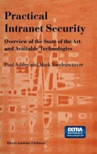 Practical Intranet Security