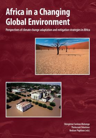 Africa in a Changing Global Environment. Perspectives of climate change adaptation and mitigation strategies in Africa