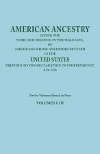American Ancestry