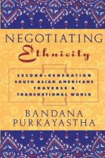 Negotiating Ethnicity