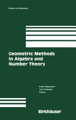 Geometric Methods in Algebra and Number Theory