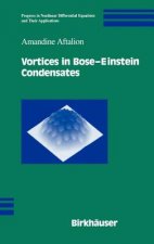 Vortices in Bose-Einstein Condensates