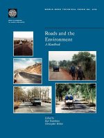 Roads and the Environment