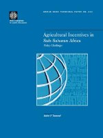 Agricultural Incentives in Sub-Saharan Africa
