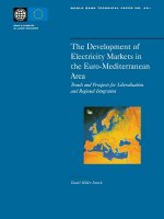 Development of Electricity Markets in the Euro-mediterranean Area