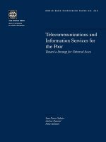 Telecommunications and Information Services for the Poor