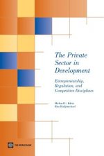 Private Sector in Development