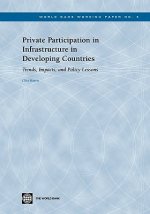 Private Participation in Infrastructure in Developing Countries