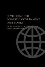 Developing the Domestic Government Debt Market