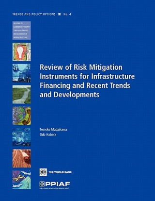 Review of Risk Mitigation Instruments for Infrastructure