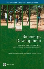 Bioenergy Development