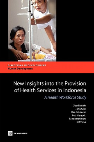 New Insights into the Provision of Health Services in Indonesia