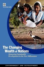 Changing Wealth of Nations