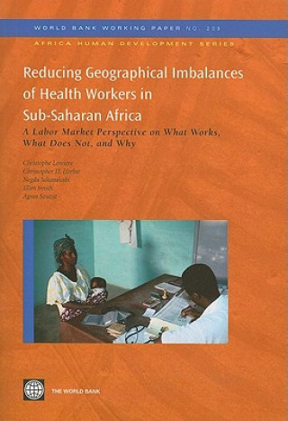 Reducing Geographical Imbalances of the Distribution of Health Workers in Sub-Saharan Africa