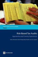 Risk-Based Tax Audits