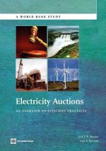 Electricity Auctions
