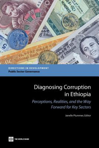 Diagnosing Corruption in Ethiopia