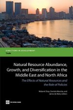 Natural Resource Abundance, Growth, and Diversification in the Middle East and North Africa